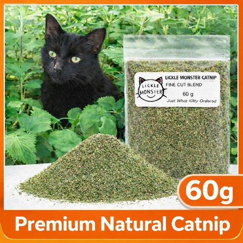 Large catnip 60g extra - –,