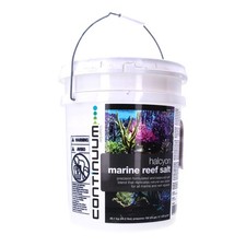 Halcyon Marine Aquarium Fish