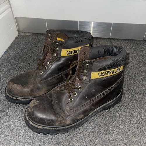 Cat heavy duty - duty, toe