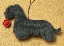 CESKY TERRIER with a RED ROSE-