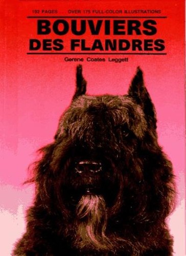 Bouvier des flandres - flandres, to