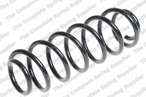 Coil spring rear - 2x,