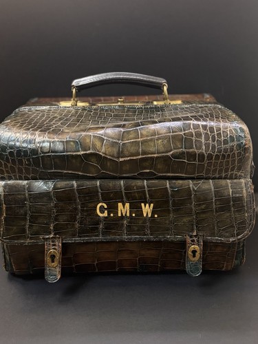 Drew sons crocodile - drew, &