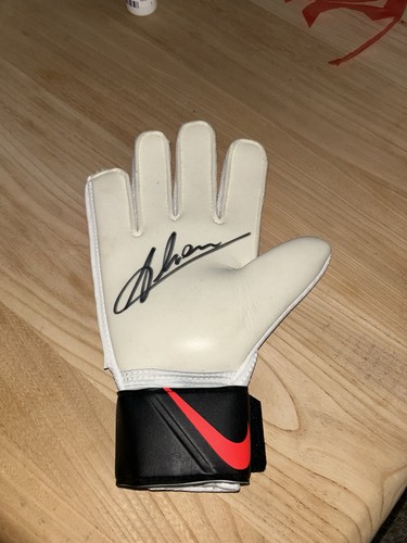 Nike match goalkeeper - match, glove