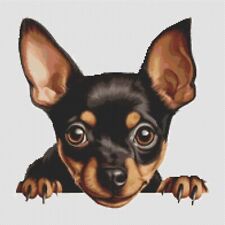 Miniature Pinscher Puppy Dog