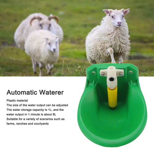 Plastic sheep drinking - sheep,