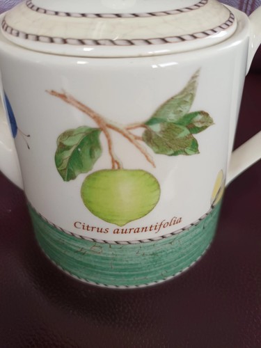 Wedgwood sarah garden - wedgwood,