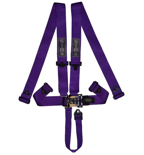 Nascar race harness - nascar,