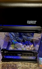 Scorpio Full Starter Kit-One