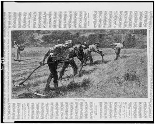 Mowers,scythes,harvest,crops,a