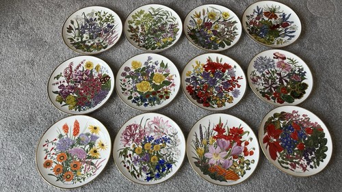 Franklin porcelain rhs - franklin, flower