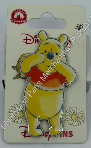 Disneyland paris winnie the - winnie,