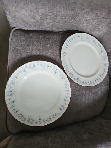 Pair 4 in dinner - 10,