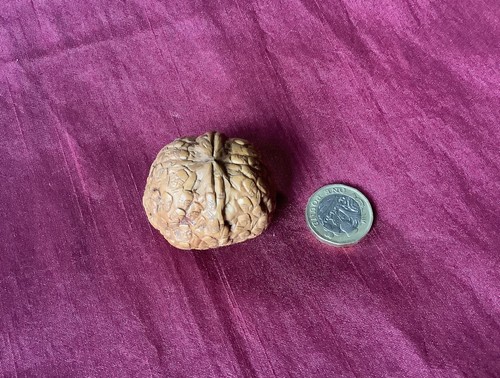 Old chinese carved walnut - old,