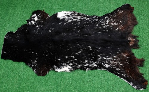 Genuine goat hide hair - goat,
