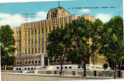 Vintage forest service - u.s.,