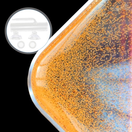 Brine shrimp eggs - shrimp,