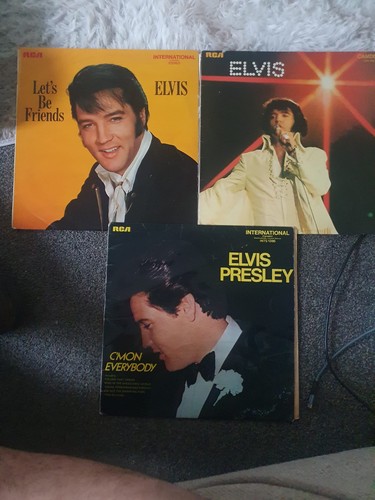 Elvis presley you never - you'll,