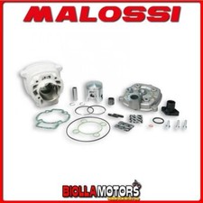 318466 THERMAL GROUP MALOSSI