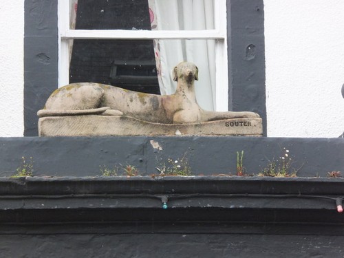 Photo red dog souter - photo,