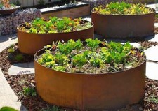 Large planter circular rustic - planter,