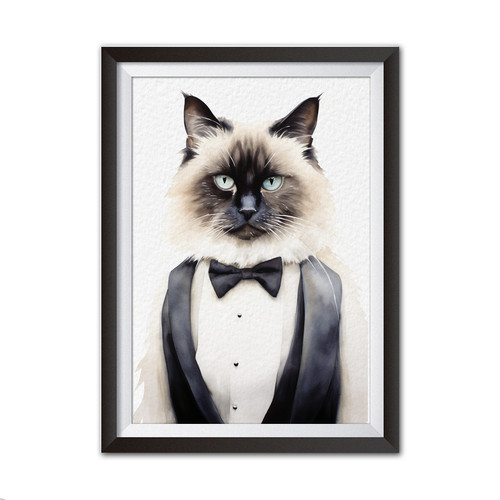 Funny birman cat print - cat, |