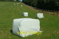 Photo 6x4 Silage recently cut