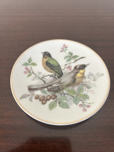 Colourful bird design - bird,