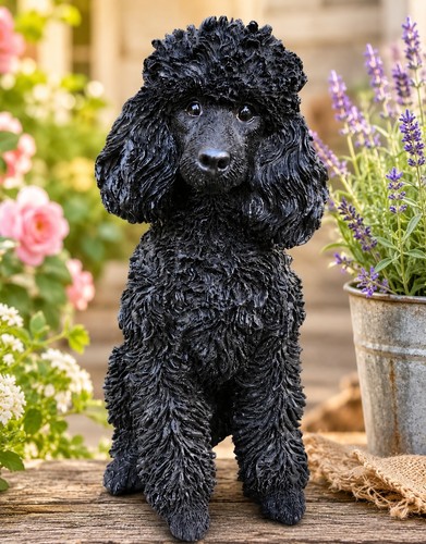 Vivid arts black poodle - vivid,