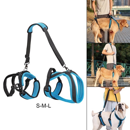 Dog lift harness - dog,