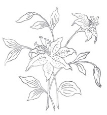 Embroidery transfer iron - embroidery,