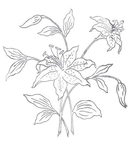 Embroidery transfer iron - embroidery,