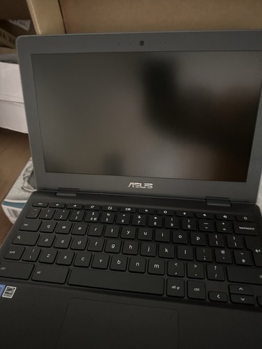 Asus chromebook - asus,