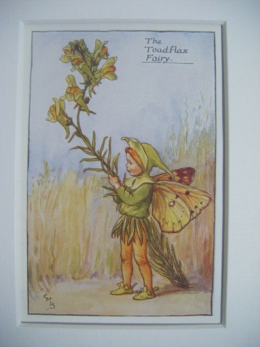 Vintage flower fairies - fairies, &