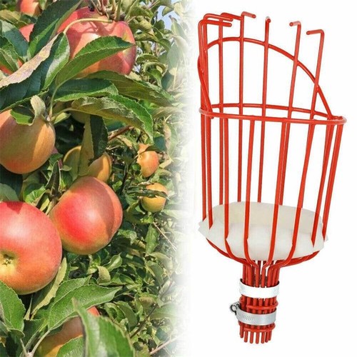 Apple fruit picker - apple,