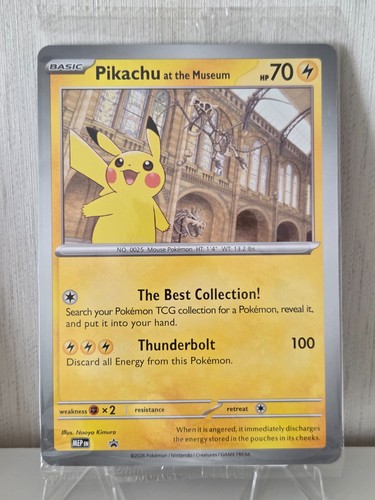 Pikachu the museum - the,