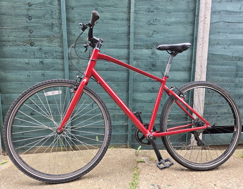 Men large ridgeback red - ridgeback,
