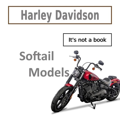 2013 2025 harley davidson - 2013-2025,