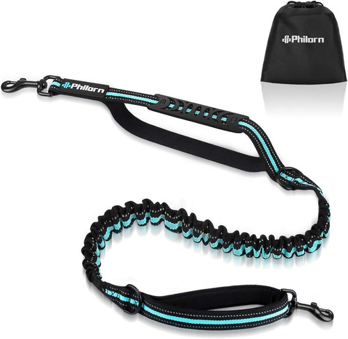Bungee dog lead - bungee,