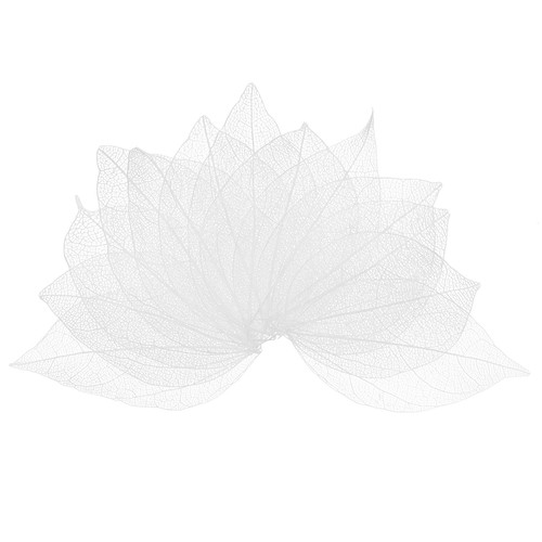 100 pack skeleton leaves - skeleton,
