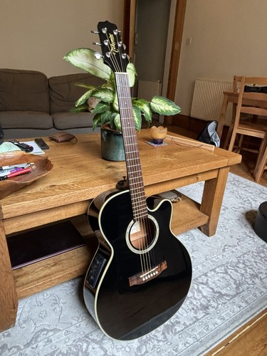 Takamine series eg541sc - g,