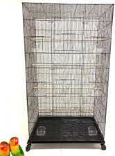 55" X-Large Bird Flight Sugar