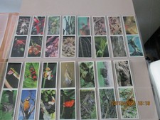 John Player & Sons Grandee