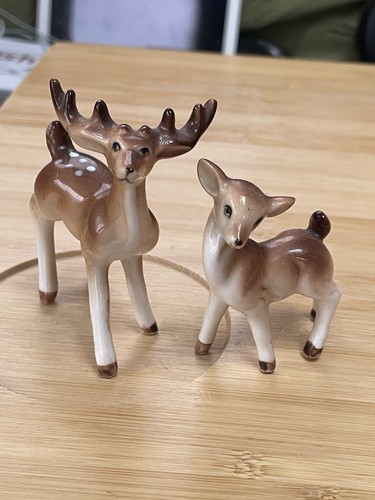 Stag and doe deers - stag,