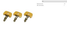 Set Of 3 Jungheinrich Keys
