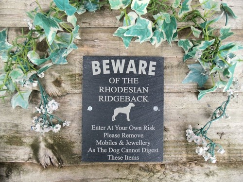 Humorous beware the - beware,