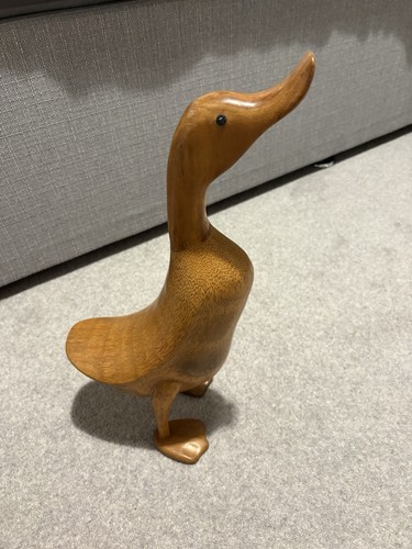 Dcuk the duck company - the,