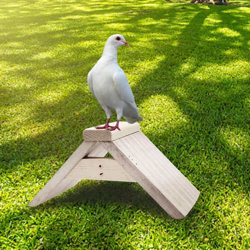 Dove rest stand pigeon perch - pigeon,