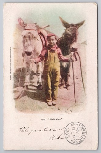 Vintage 1906 postcard child - postcard, in