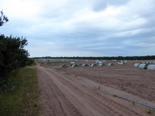 Photo pig arks near sutton - pig,